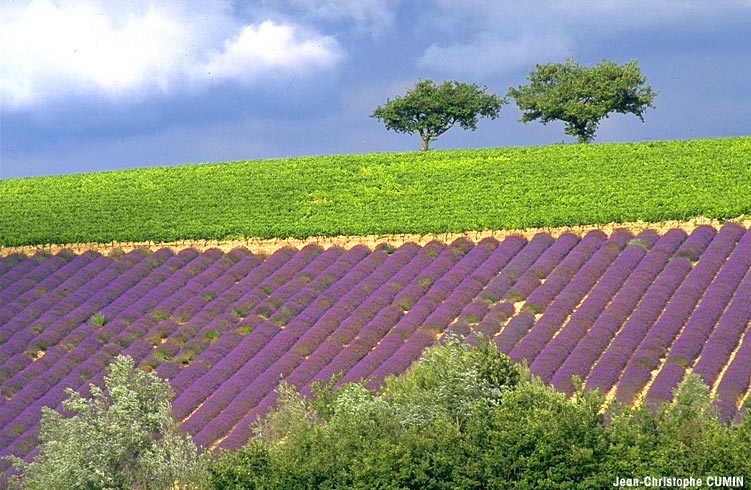 Photo de la Drôme Provençale